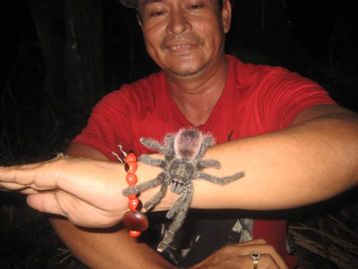 Iquitos Travel